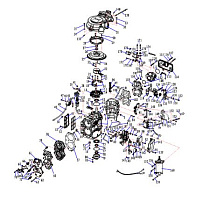 Двигатель 2-Х ТАКТНОГО ПЛМ PARSUN T50A FWL