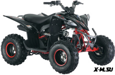 Квадроцикл Mikilon Rapide 120