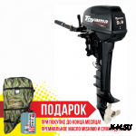 Подвесной лодочный мотор TOYAMA(PARSUN) T9,9BMS