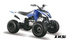 Квадроцикл ATV Pantera 150 CVT