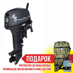 Лодочный мотор ALLFA CG Т20