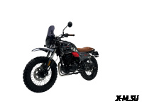 Мотоцикл TMBK FAHRENHEIT 250 (165 FMM)