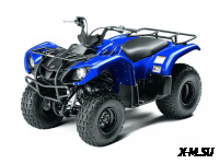 Квадроцикл Grizzly 125