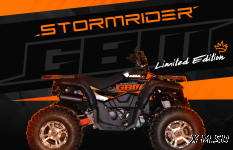 Квадроцикл GBM STORMRIDER 320 NEW LUX