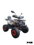 Квадроцикл WELS THUNDER AX125 PRO